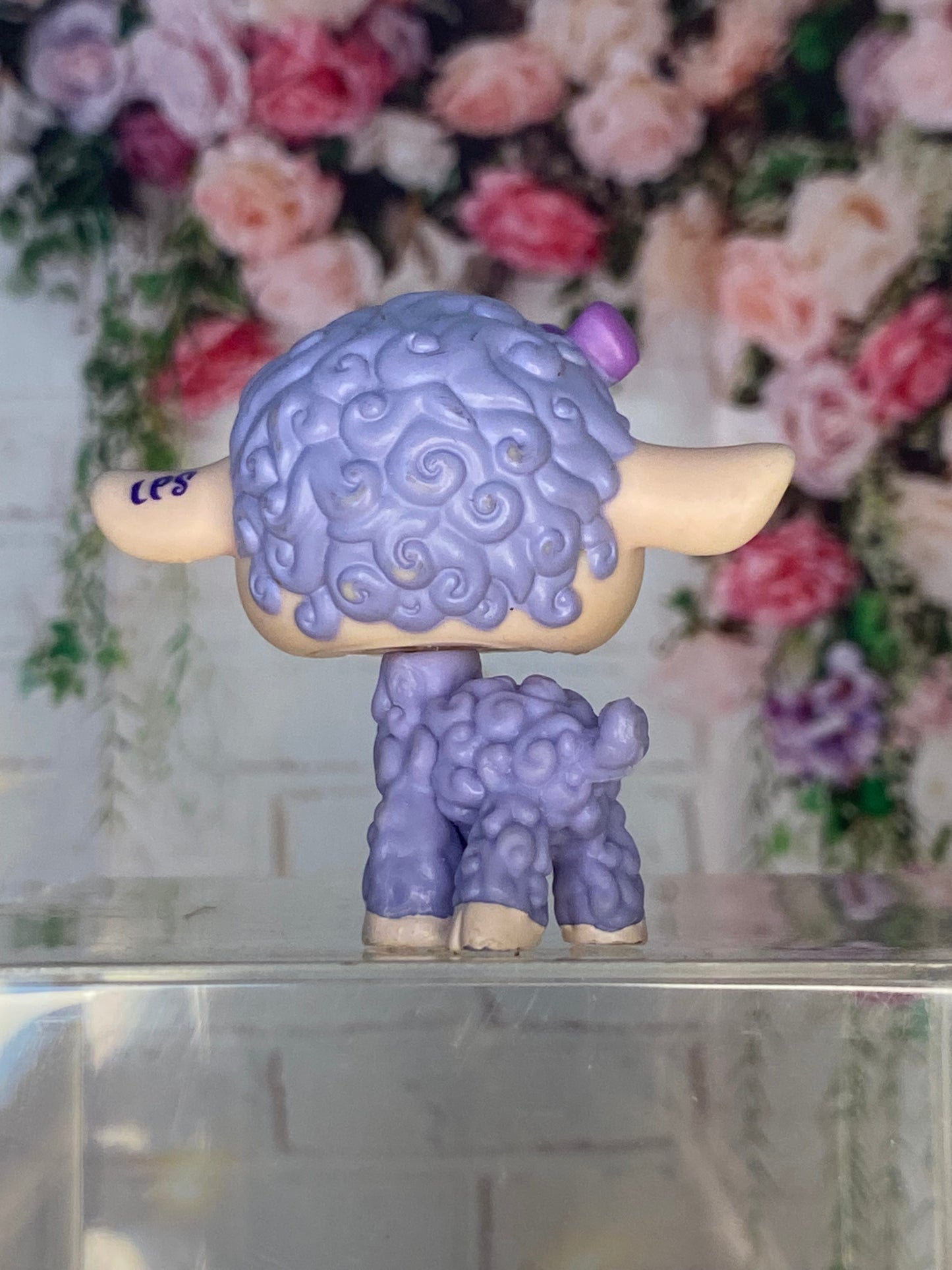 LPS Lamb
