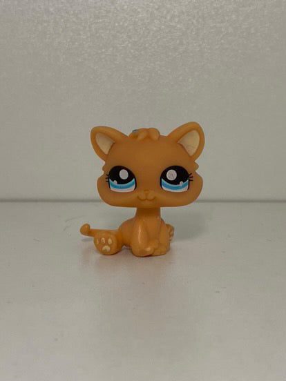 LPS Kitten