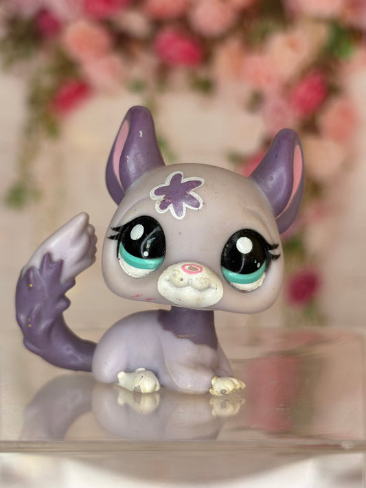 LPS Chinchilla #2135