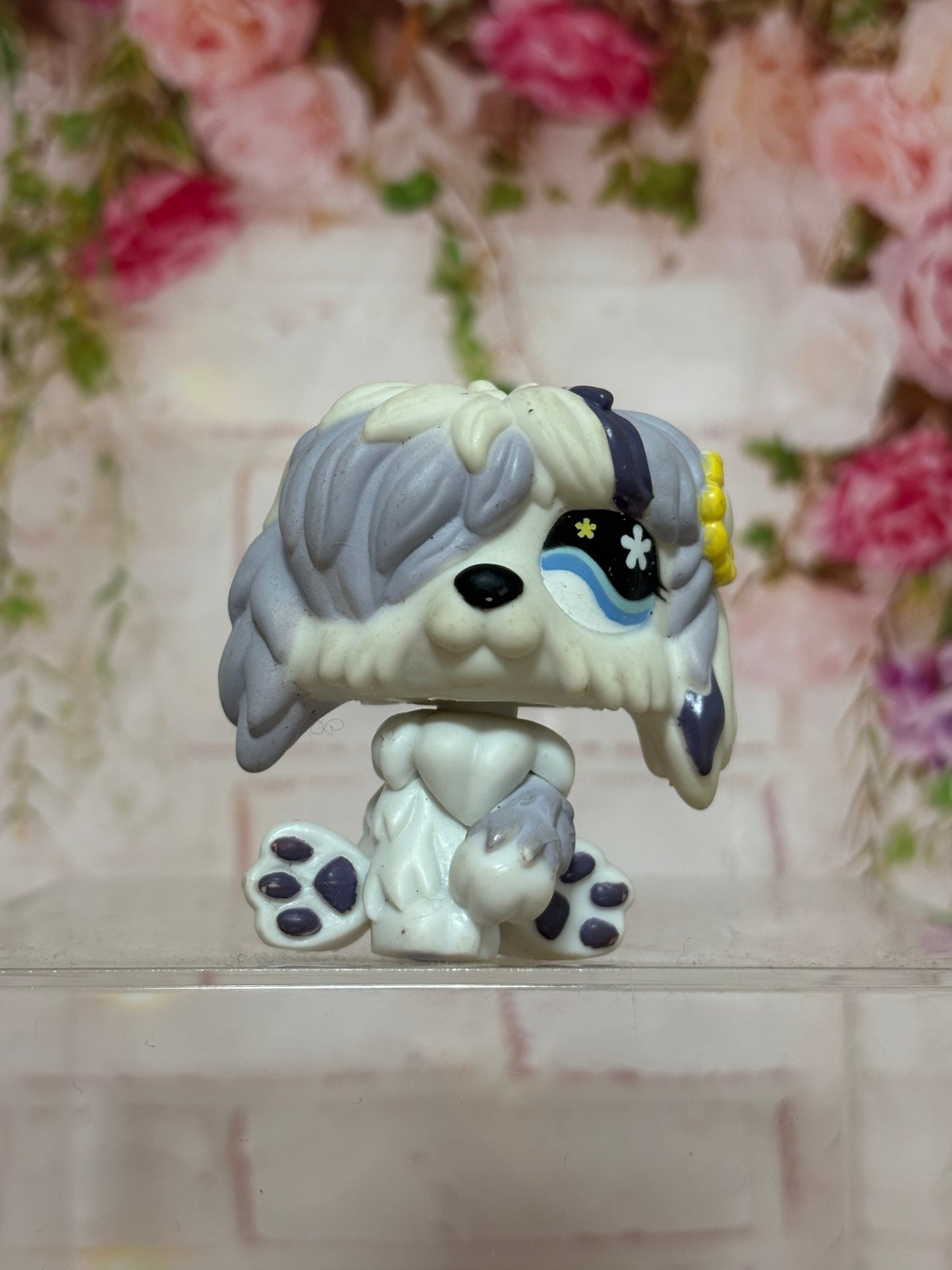 LPS Sheepdog