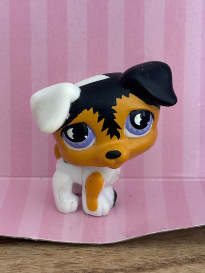 LPS Jack Russel #803
