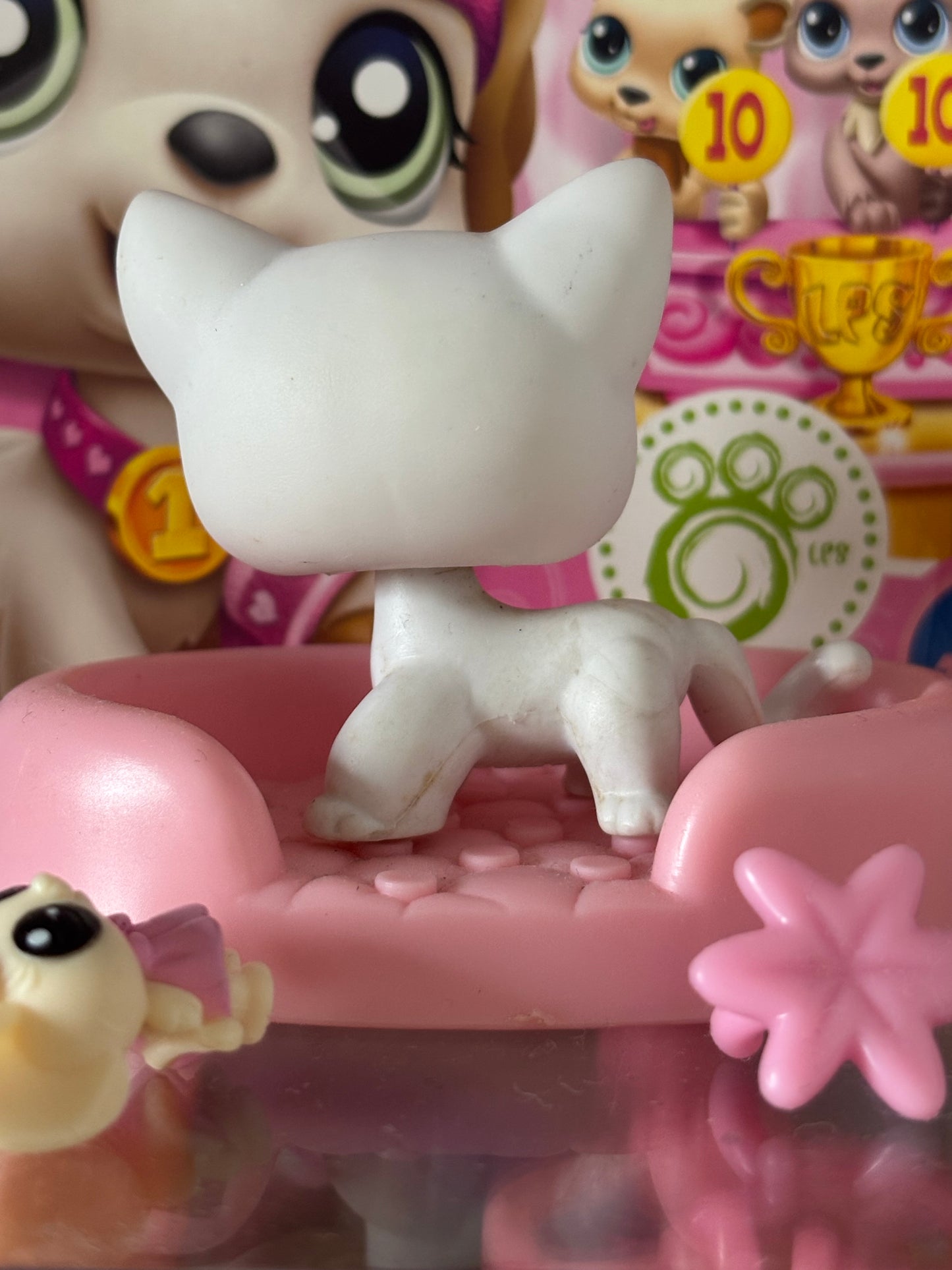 LPS Shorthair Cat #64