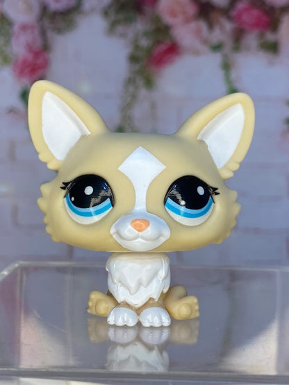 LPS Gen 7 Corgi