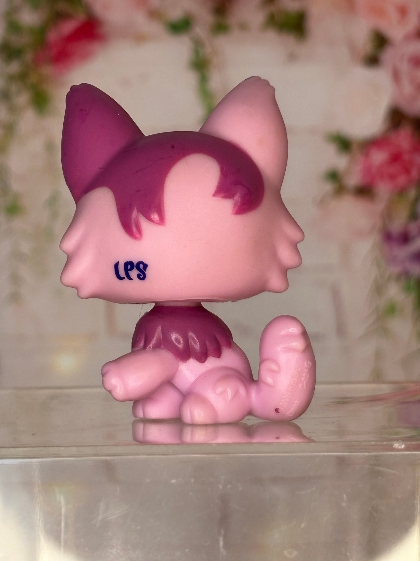 LPS Maine Coon #2465