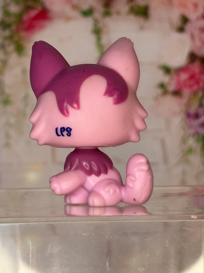 LPS Maine Coon #2465