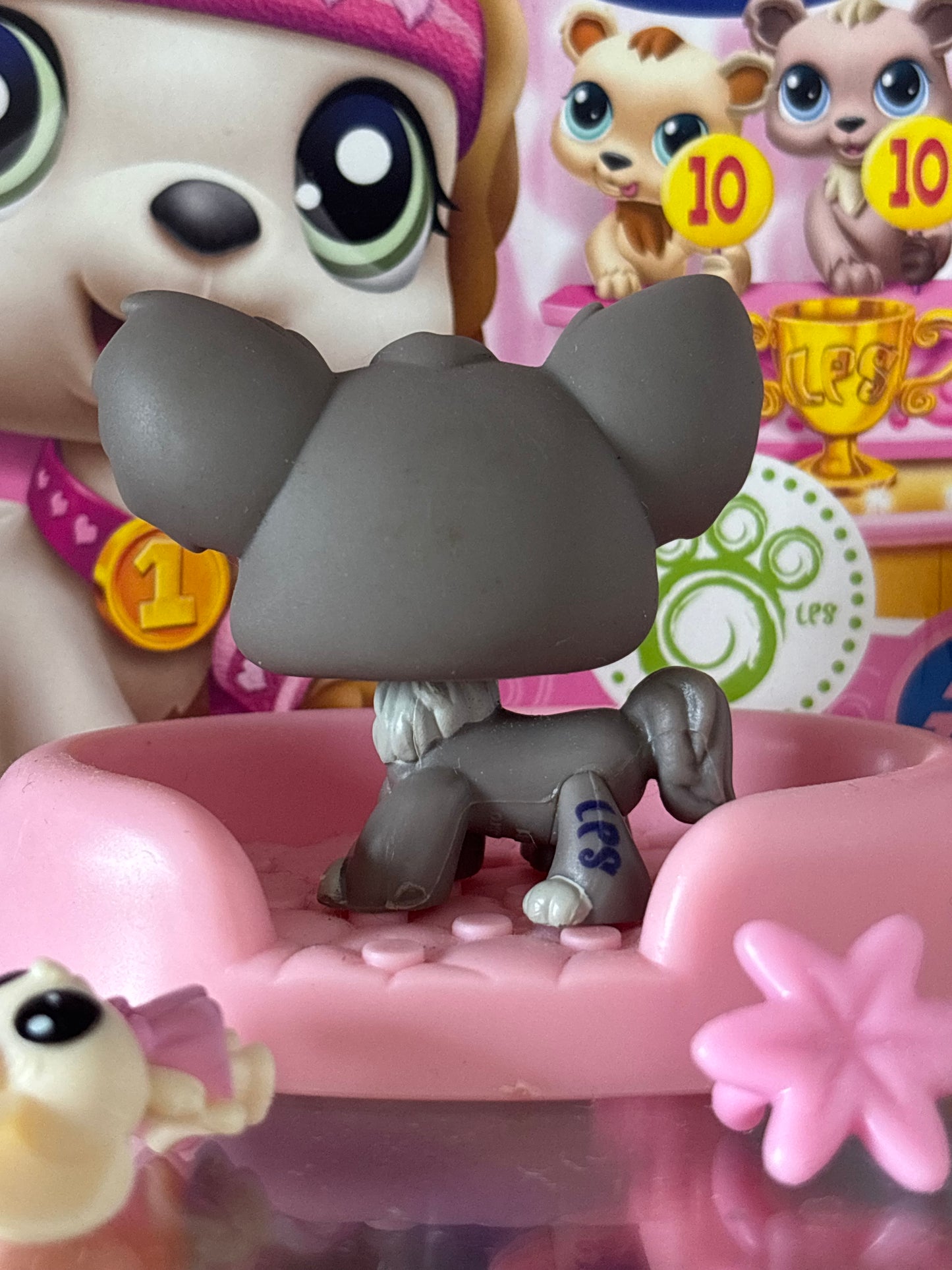 LPS Chihuahua #836