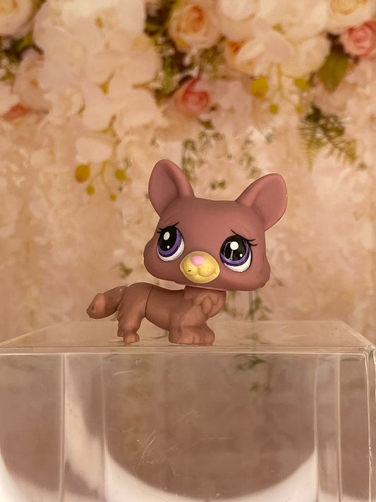 LPS Blind Bag Corgi #1533