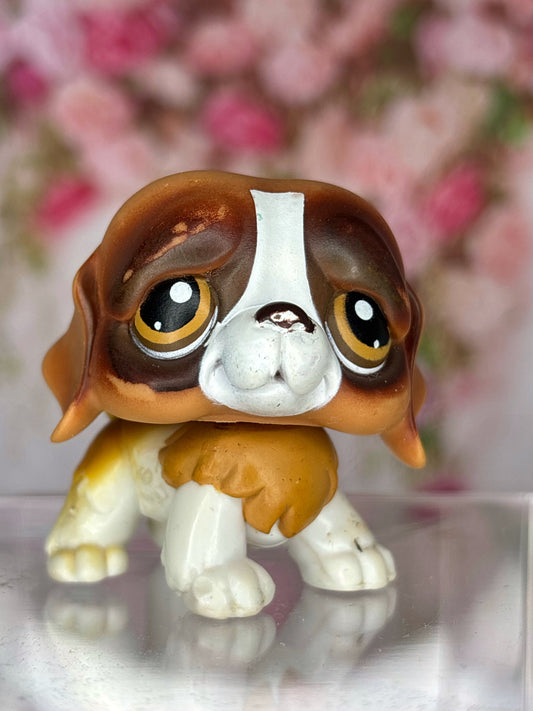 LPS Saint Bernard
