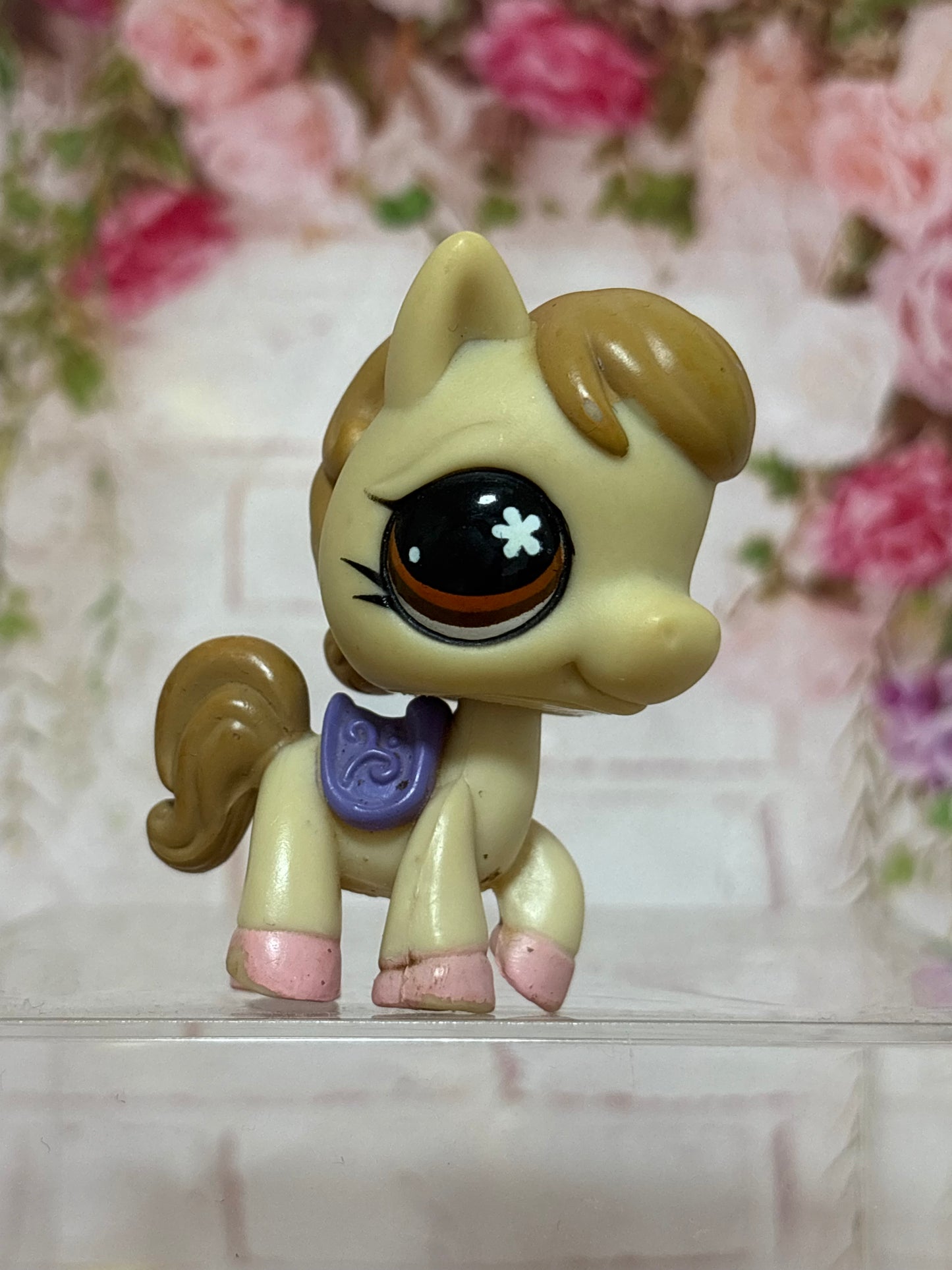LPS Horse