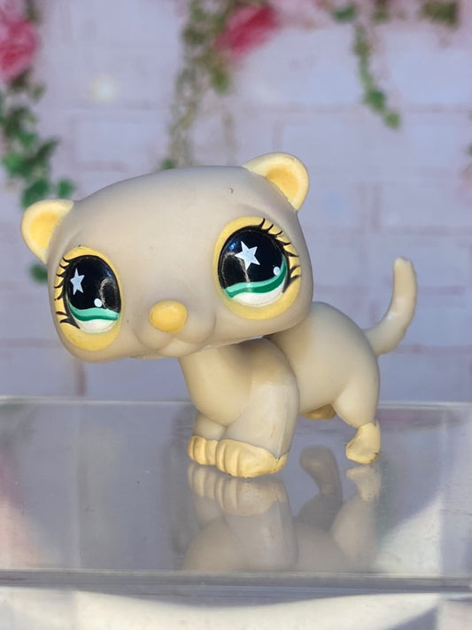 LPS Ferret #957