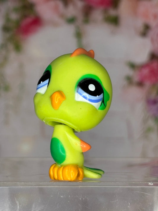 LPS Parakeet #1824