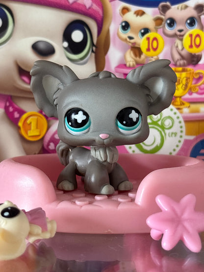 LPS Chihuahua #836