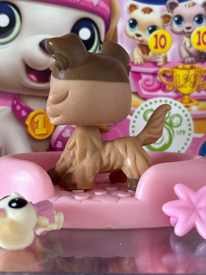 LPS Colley #893
