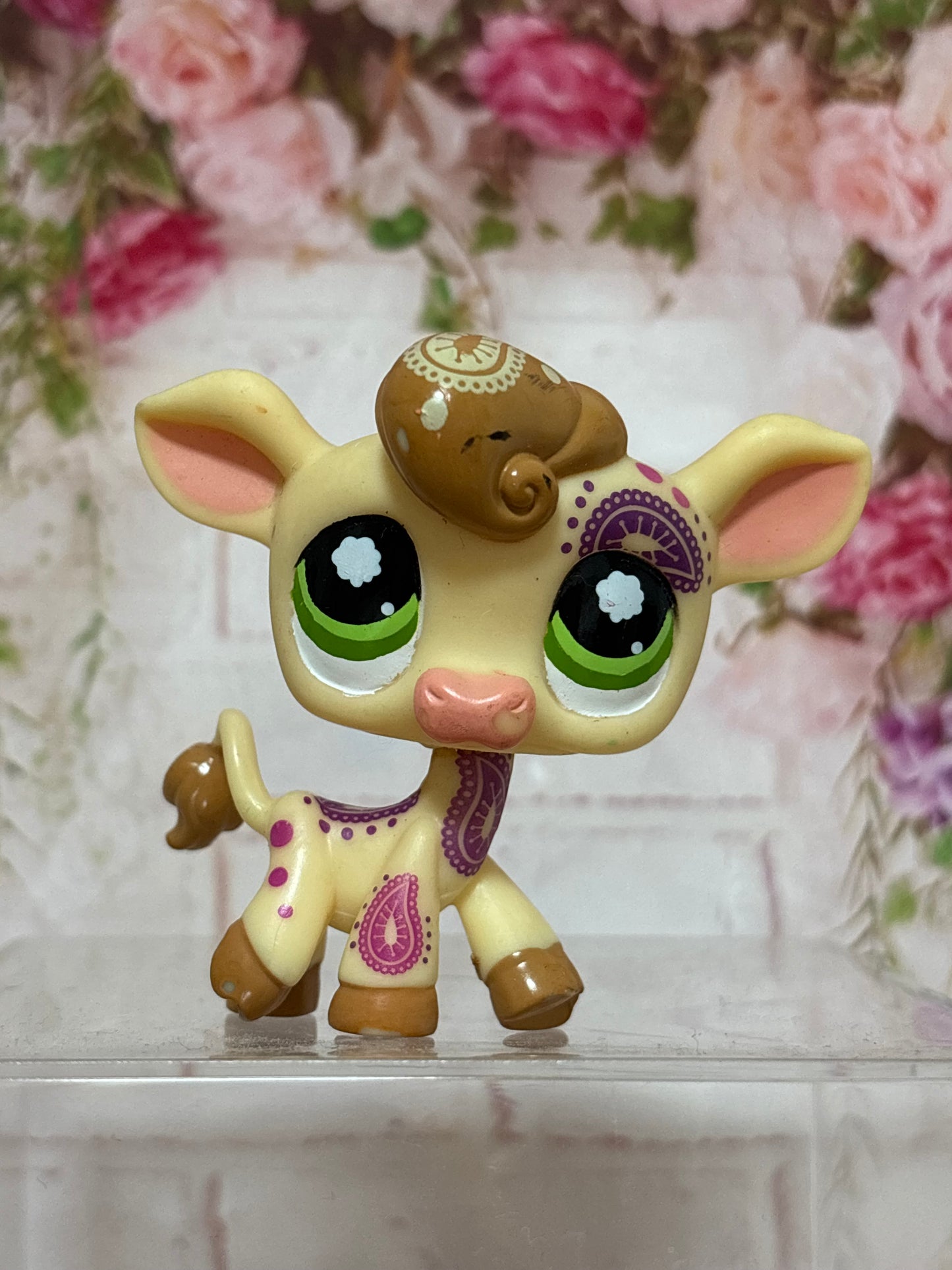 LPS Postcard Cow