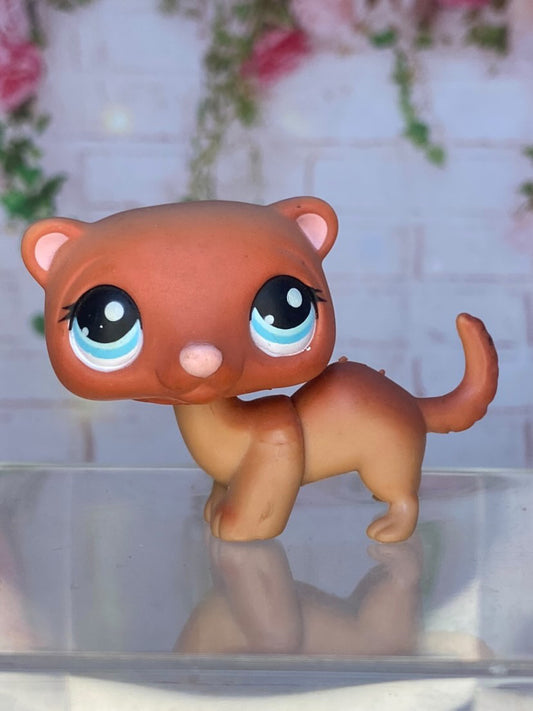 LPS Ferret #334