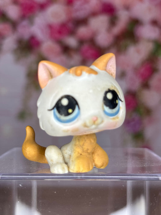 LPS Kitten