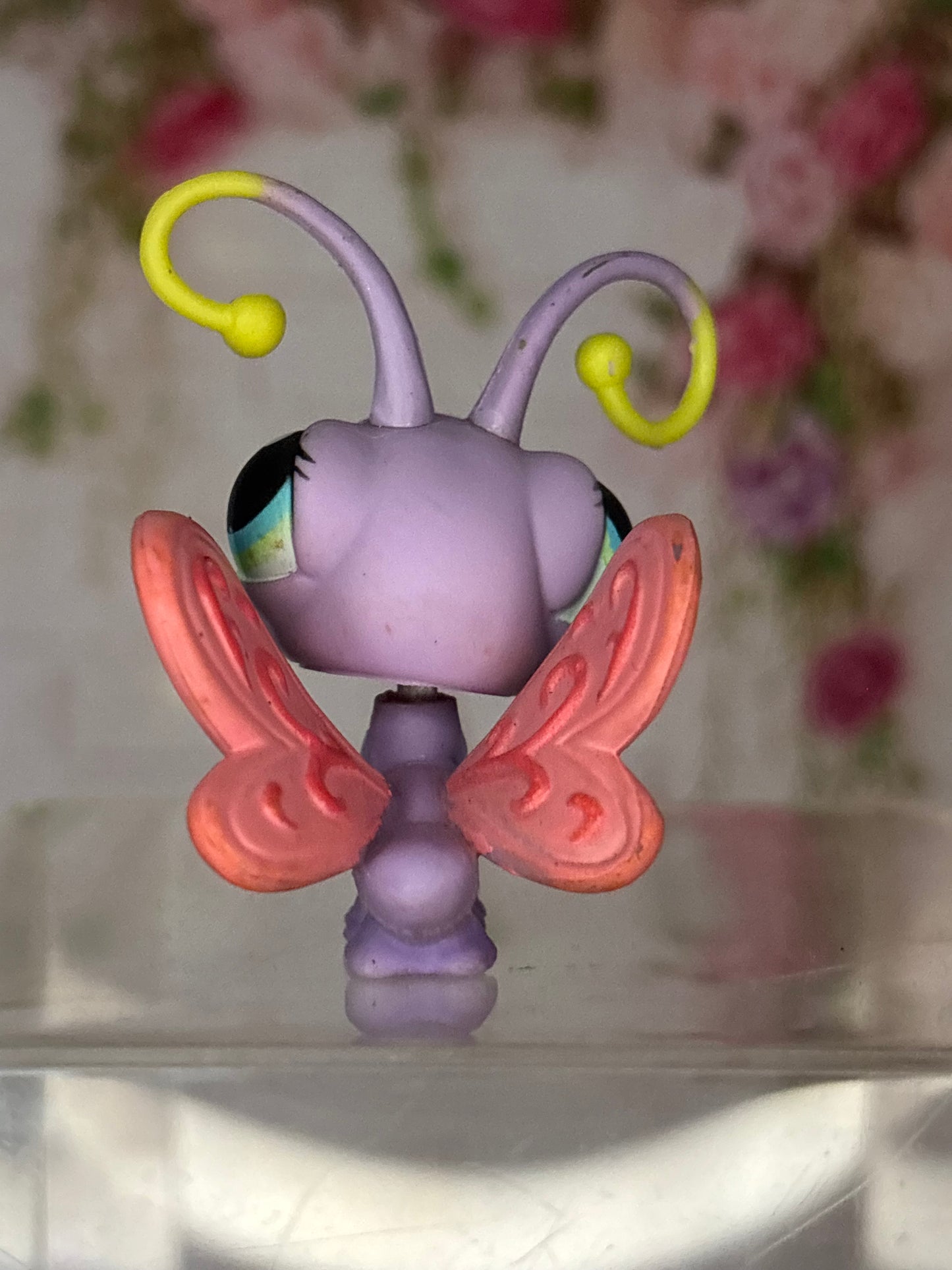 LPS Butterfly